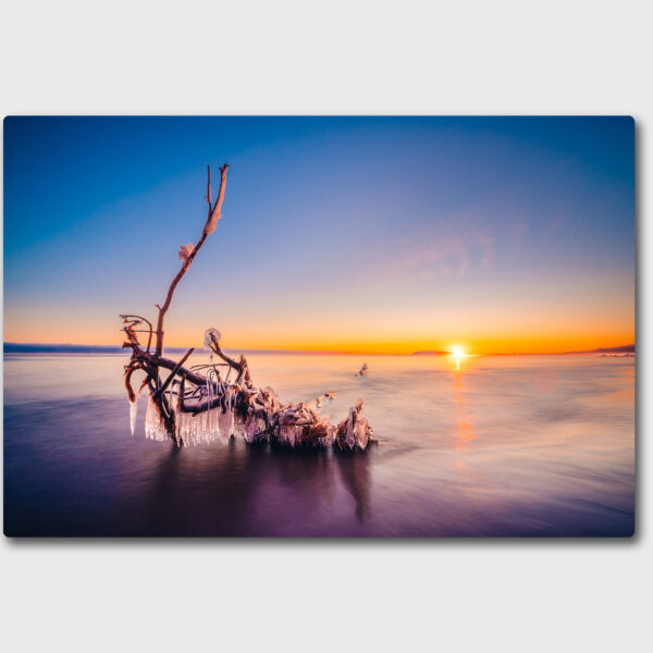 A piece of driftwood encased in ice at sunrise in Lake Superior